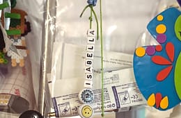 Tik Tok Star Bella Brave Dies At 10 